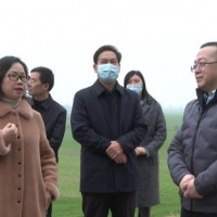 長(zhǎng)江委、省水利廳檢查組來枝江檢查河道采砂管理工作