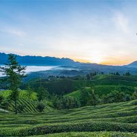 500萬(wàn)噸/年！湖北儲(chǔ)量約1.12億噸建筑用花崗巖礦擬掛牌出讓